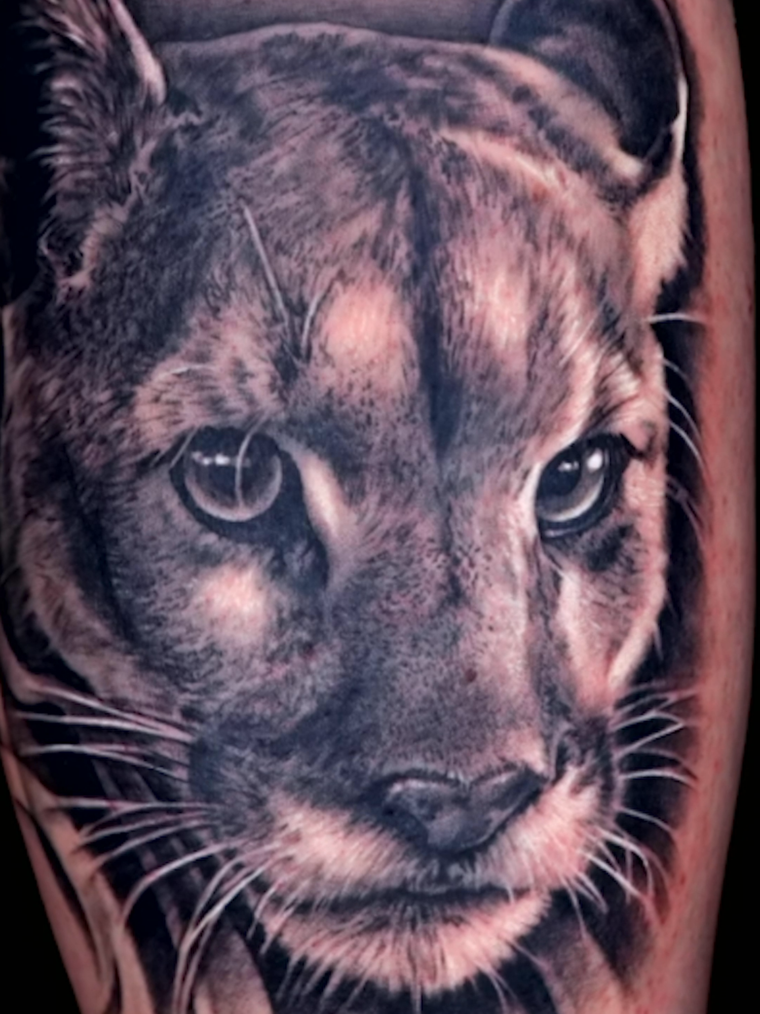 @Ink Master