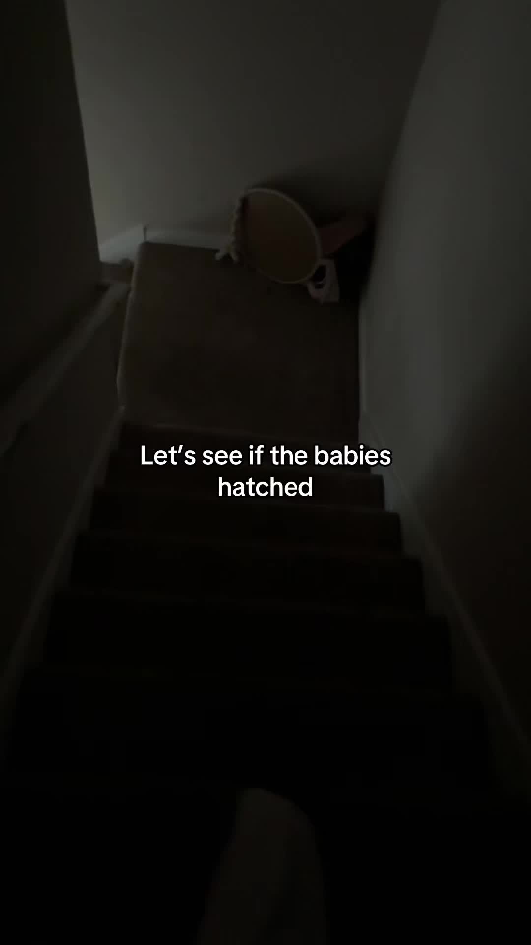 @Theyadoreme03
