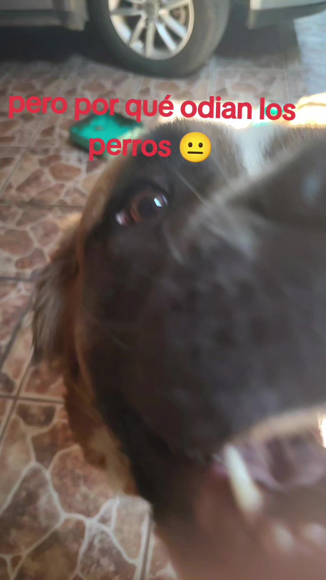 @Grabando mi hermano 67
