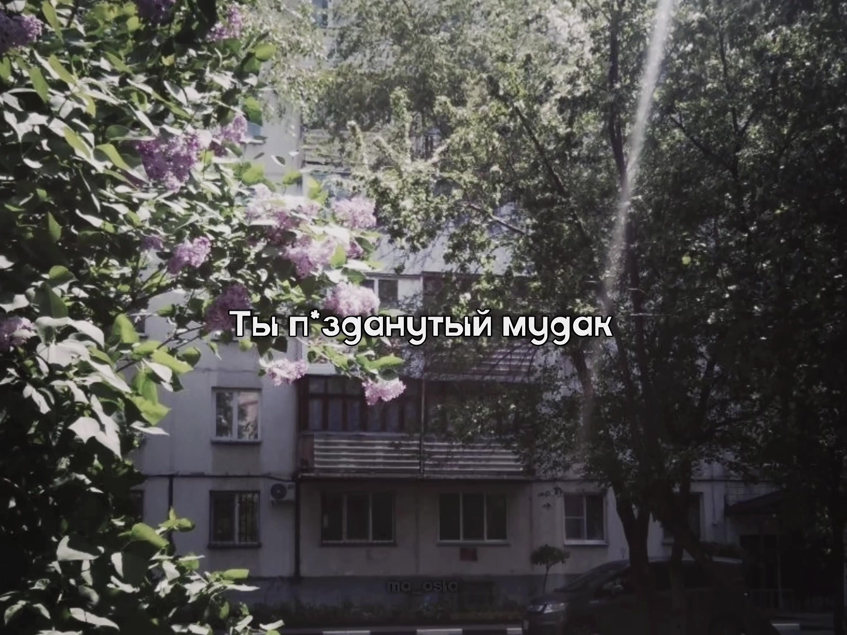@маося✿*ﾟ︎