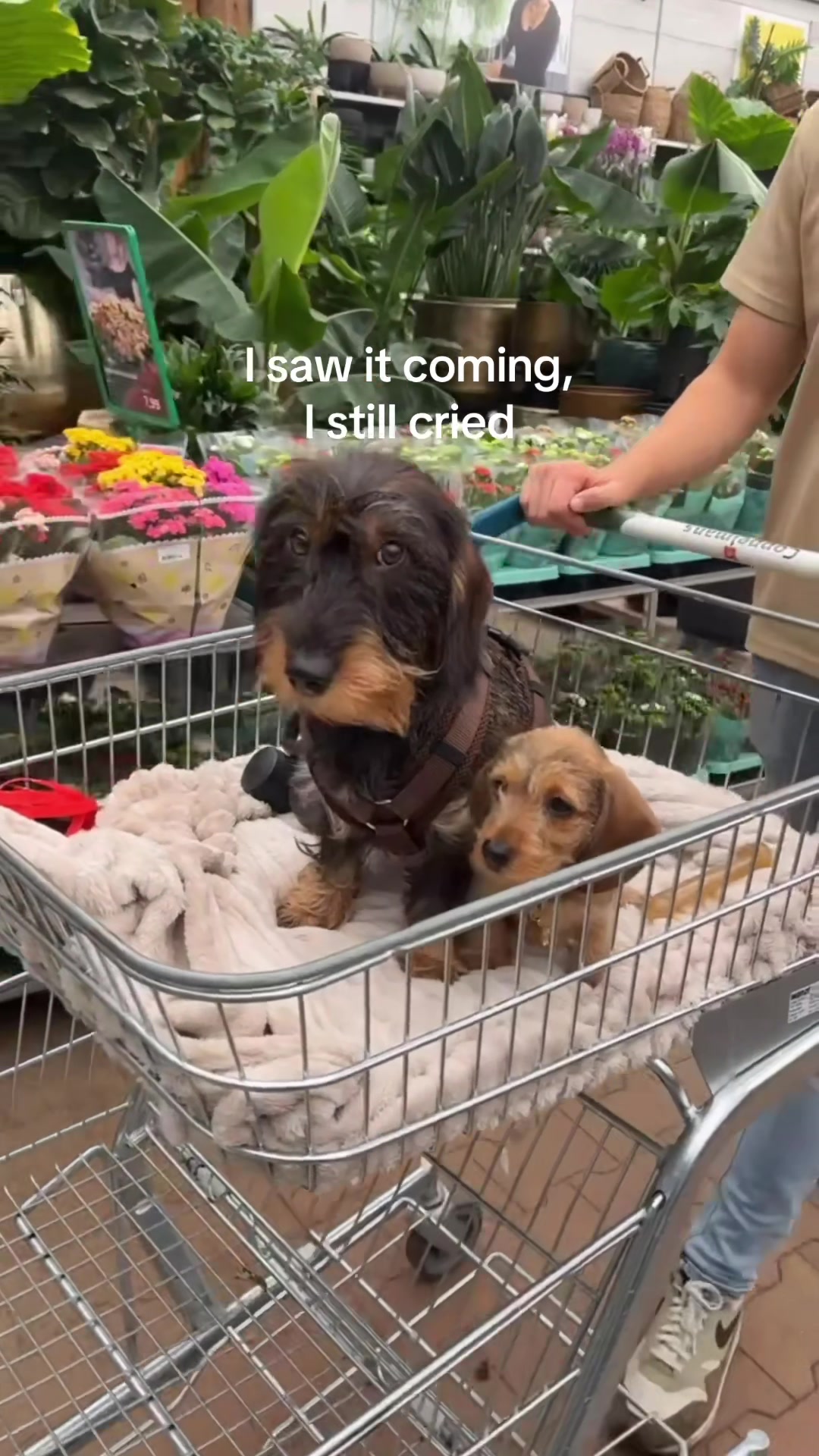 @lifeoflunabowie