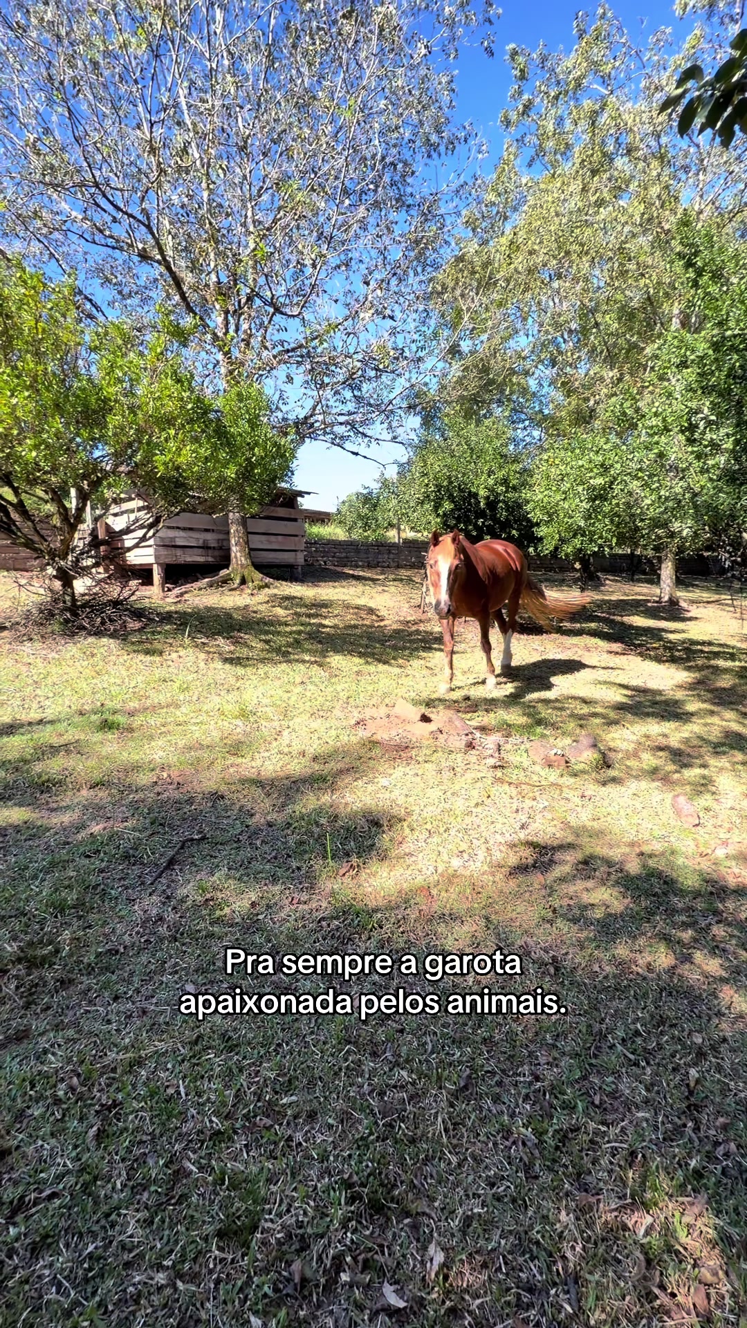 @yasmim_brgs8