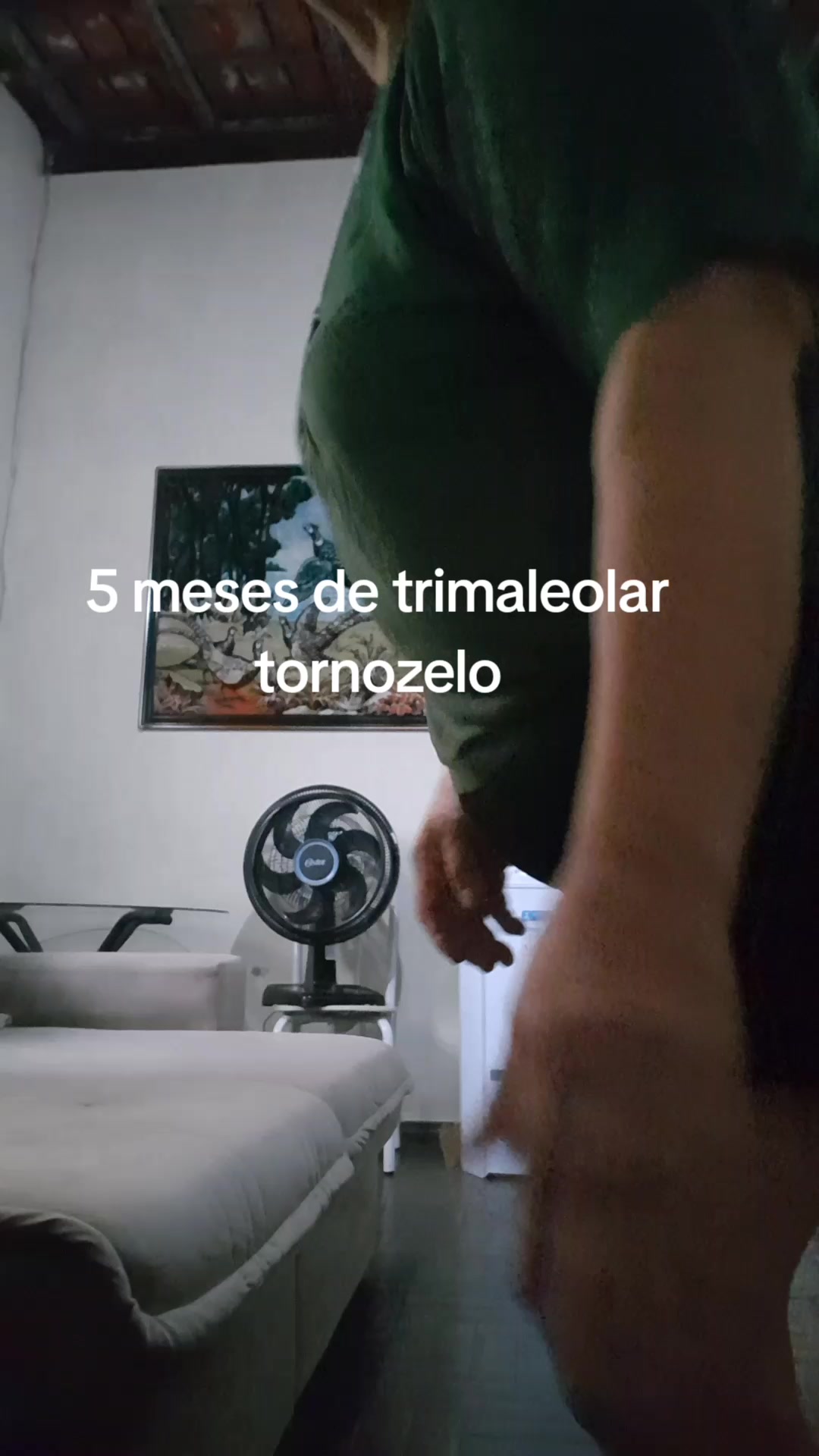 @lu Rodrigues