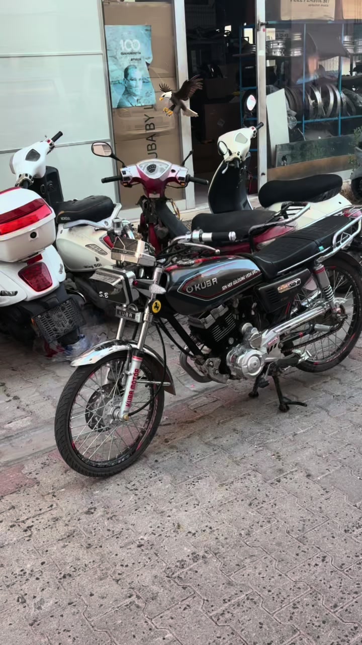 @𝐒𝐞𝐲𝐡𝐚𝐧