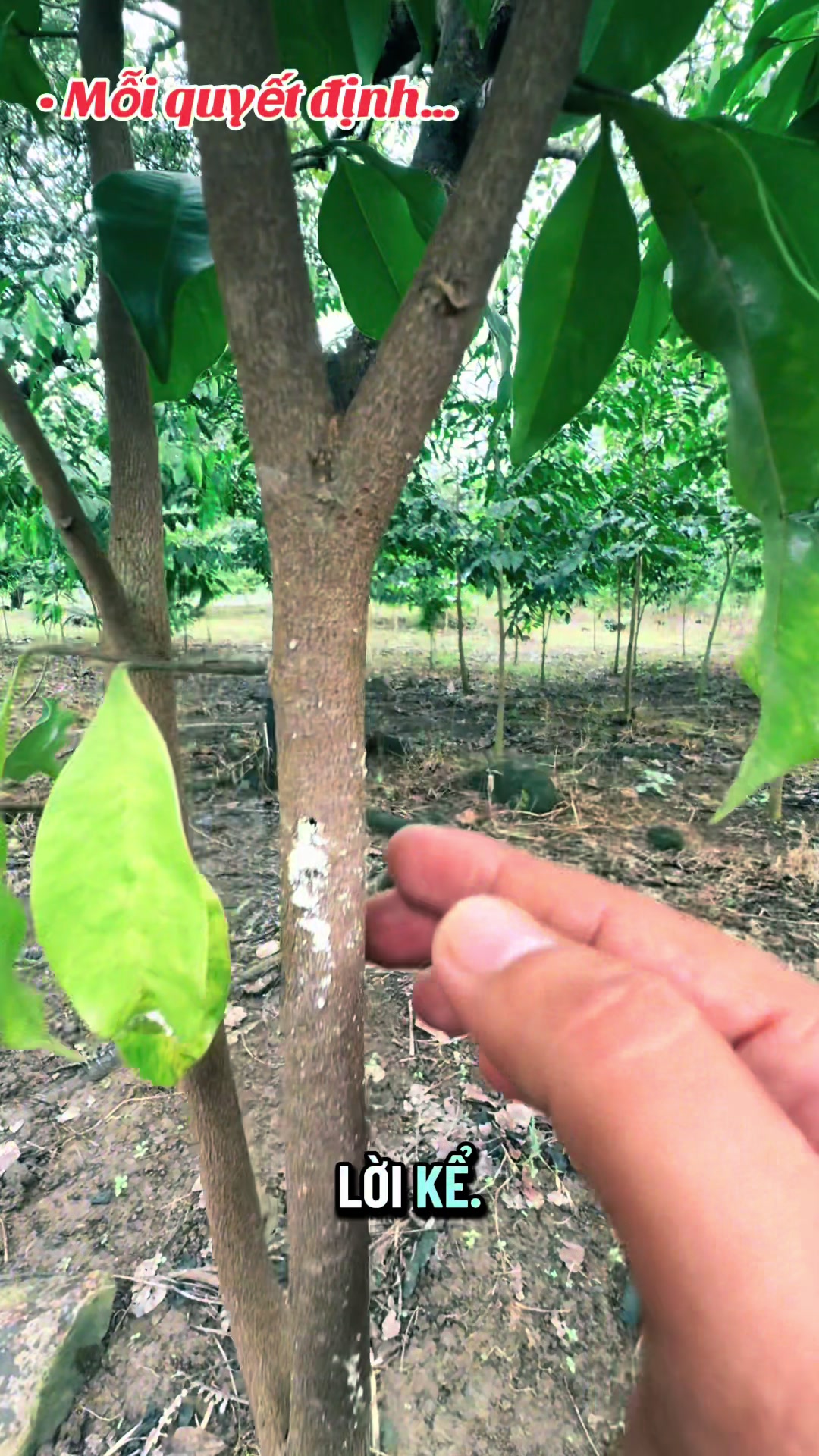 @Dó Đen Việt !