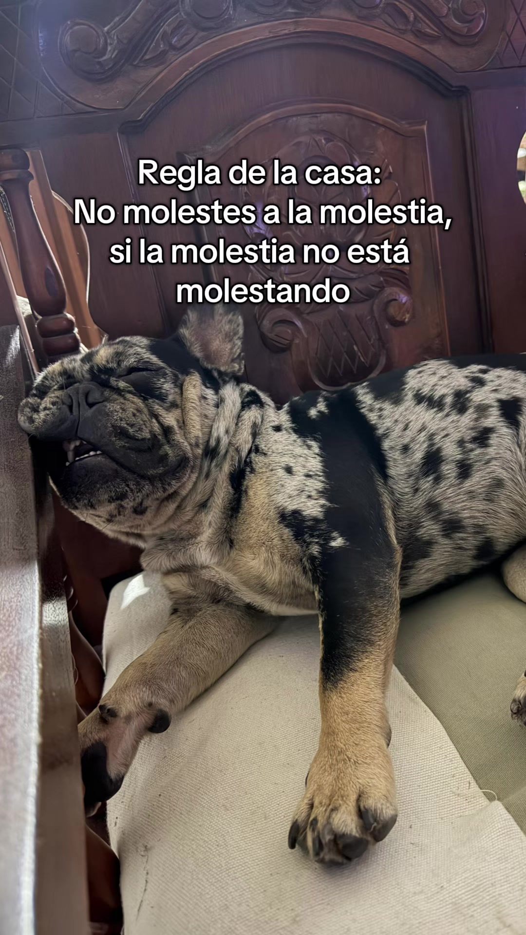 @Javier Urrutia