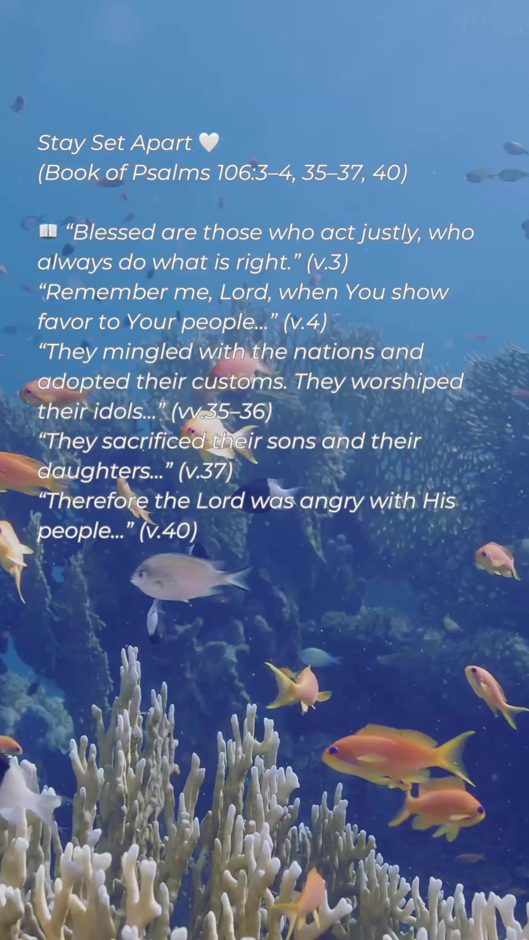 @daily.faith.reflection