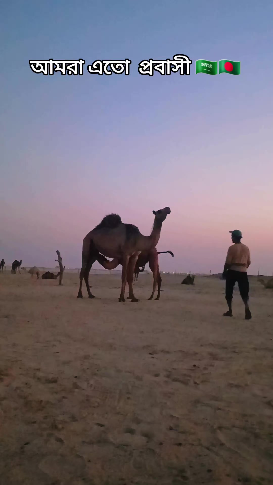 @T starTareq(Al Khafji)🇸🇦🇧🇩