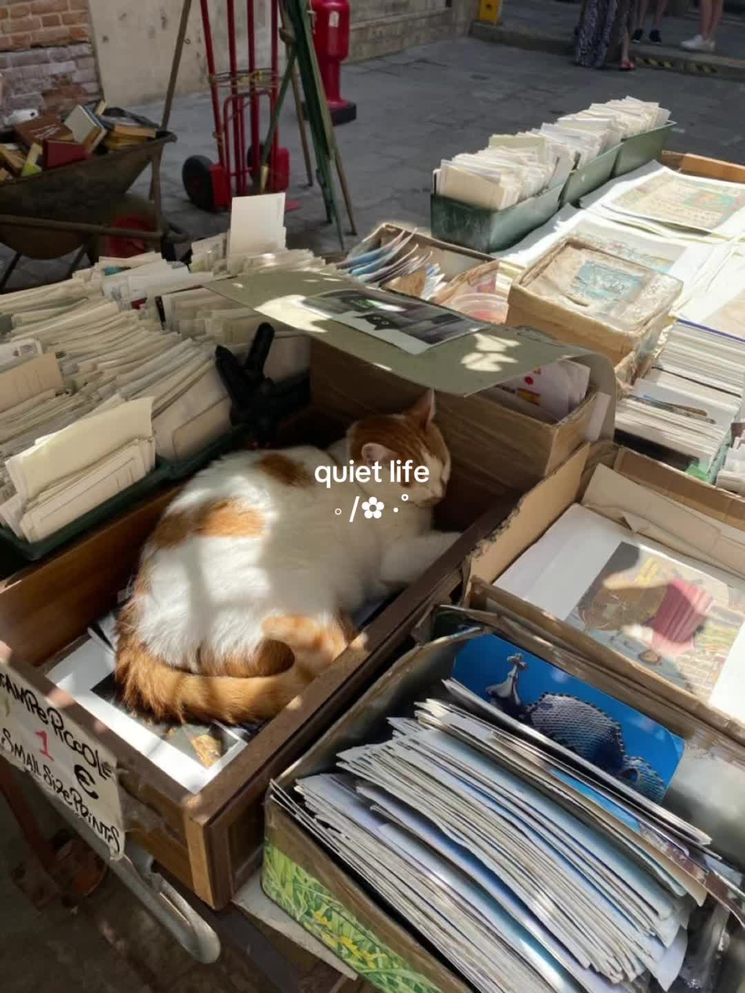 @春玉