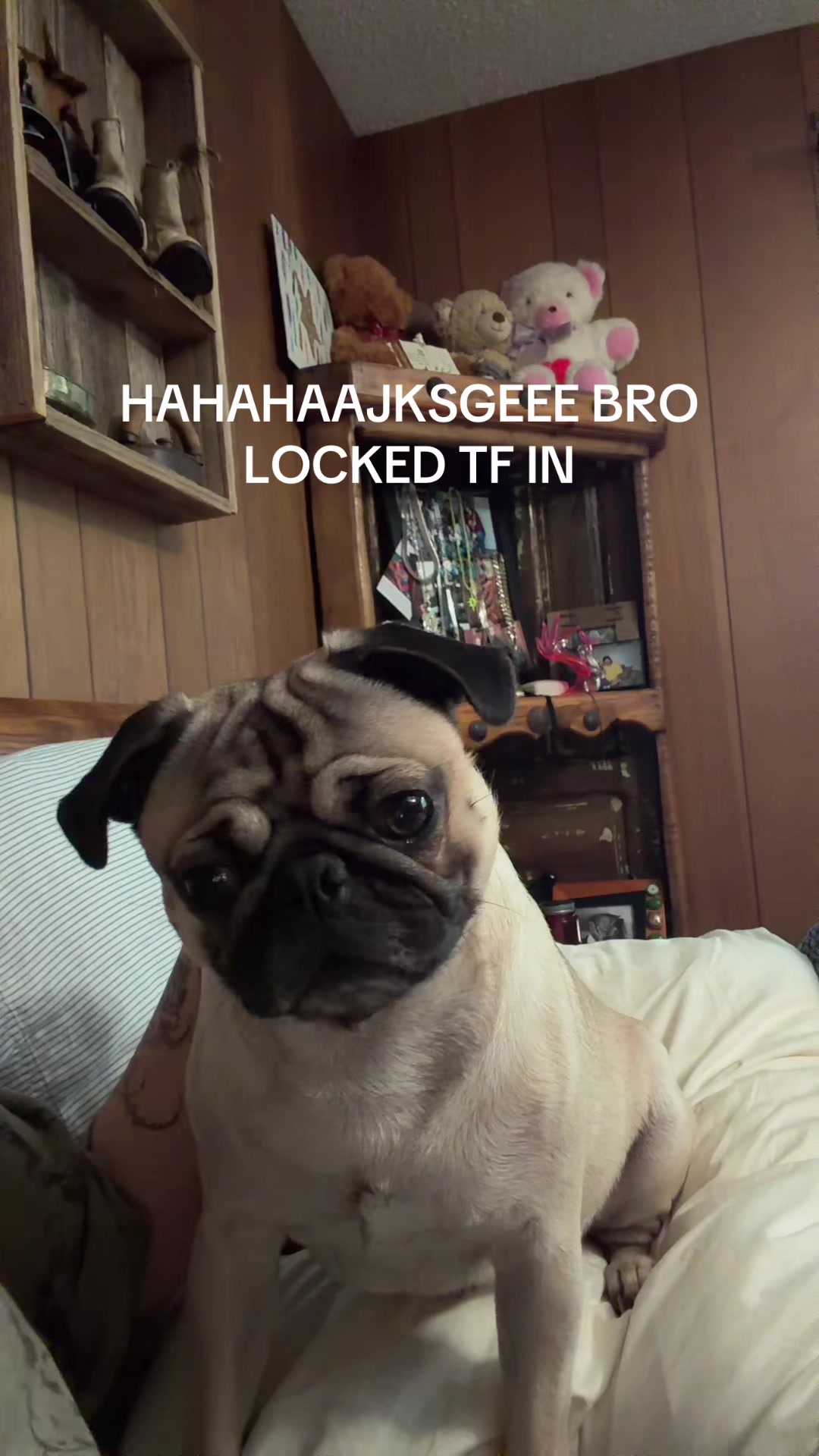 @Jessie Jaymes