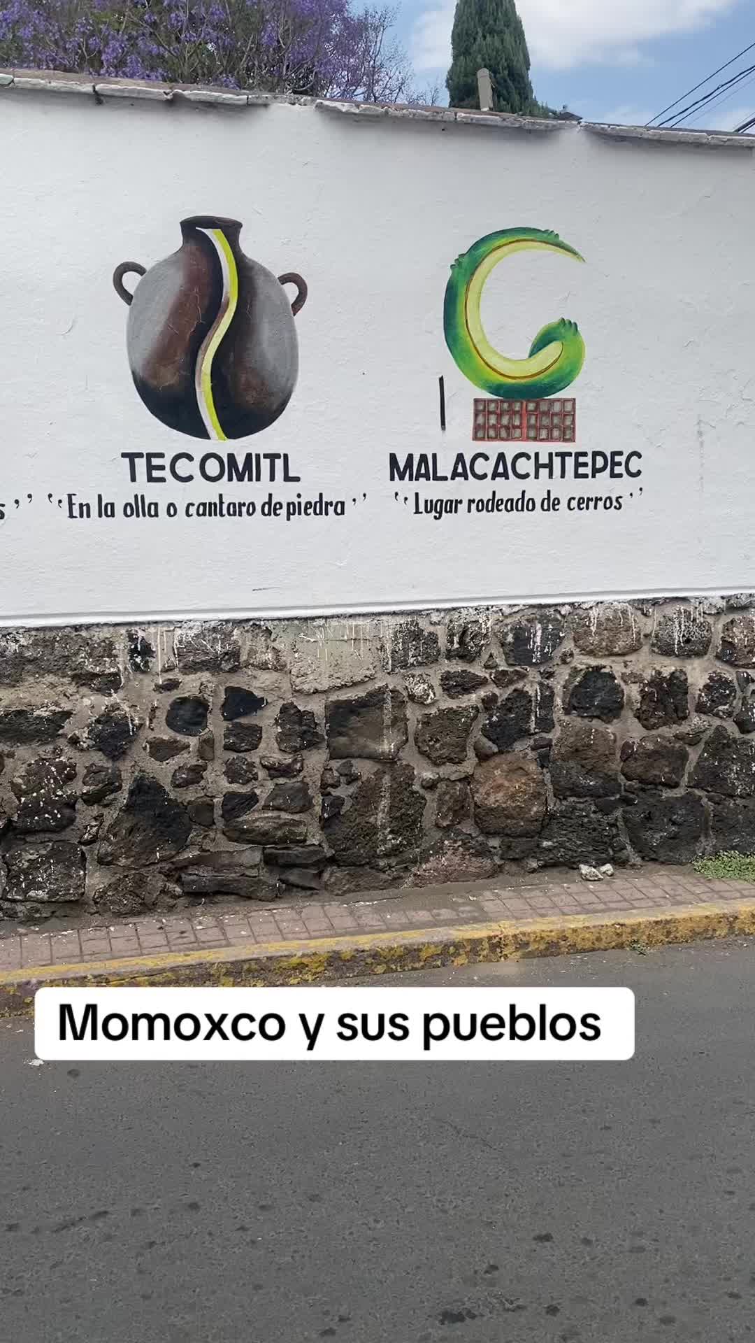 @ocelotl nahui 🐆