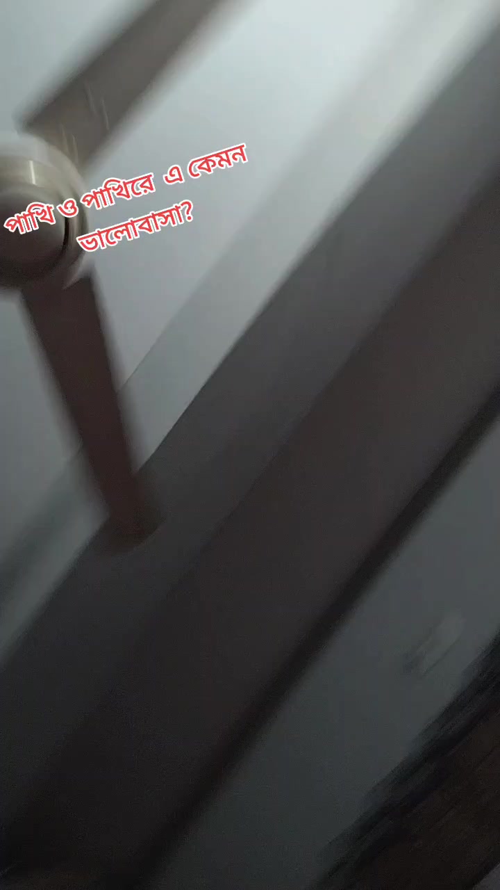 @রাঙ্গামাটির মেয়ে