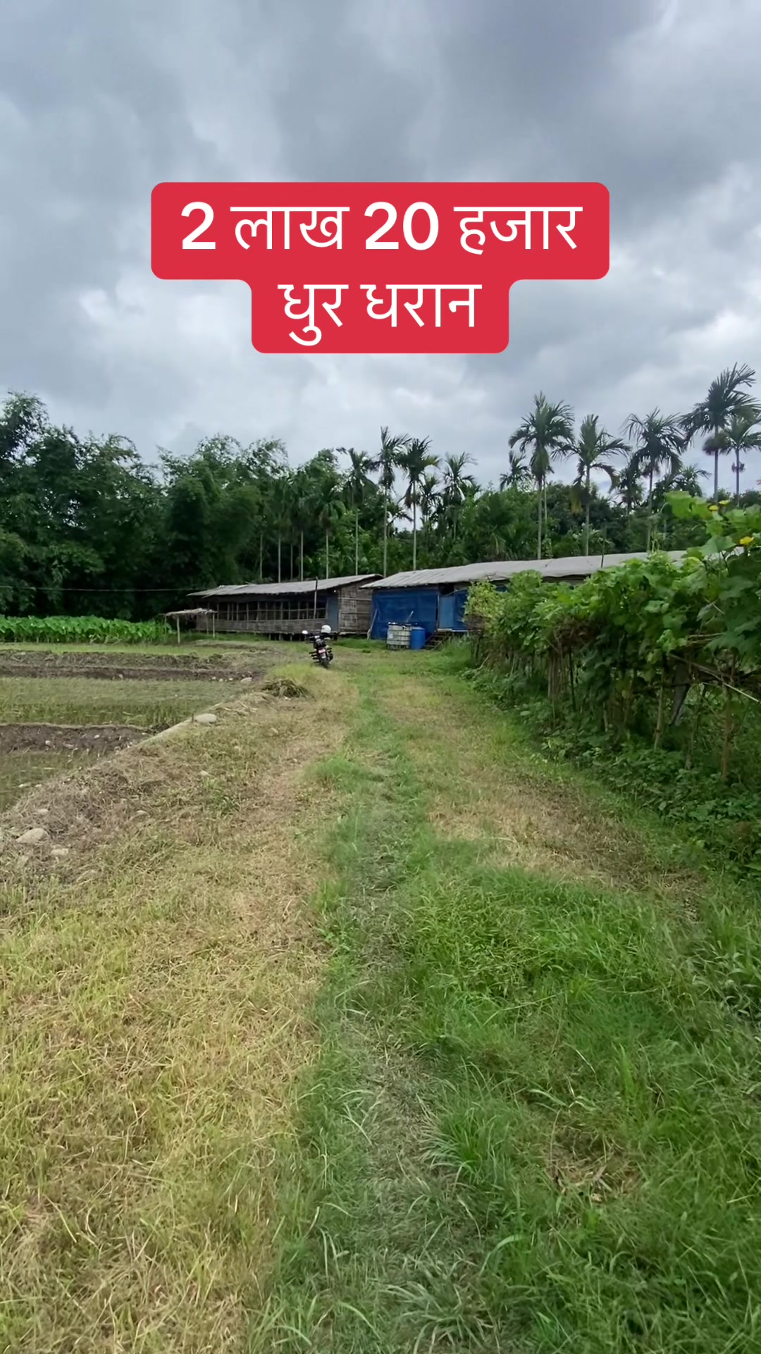 @Bhuban Thapa Real Estate