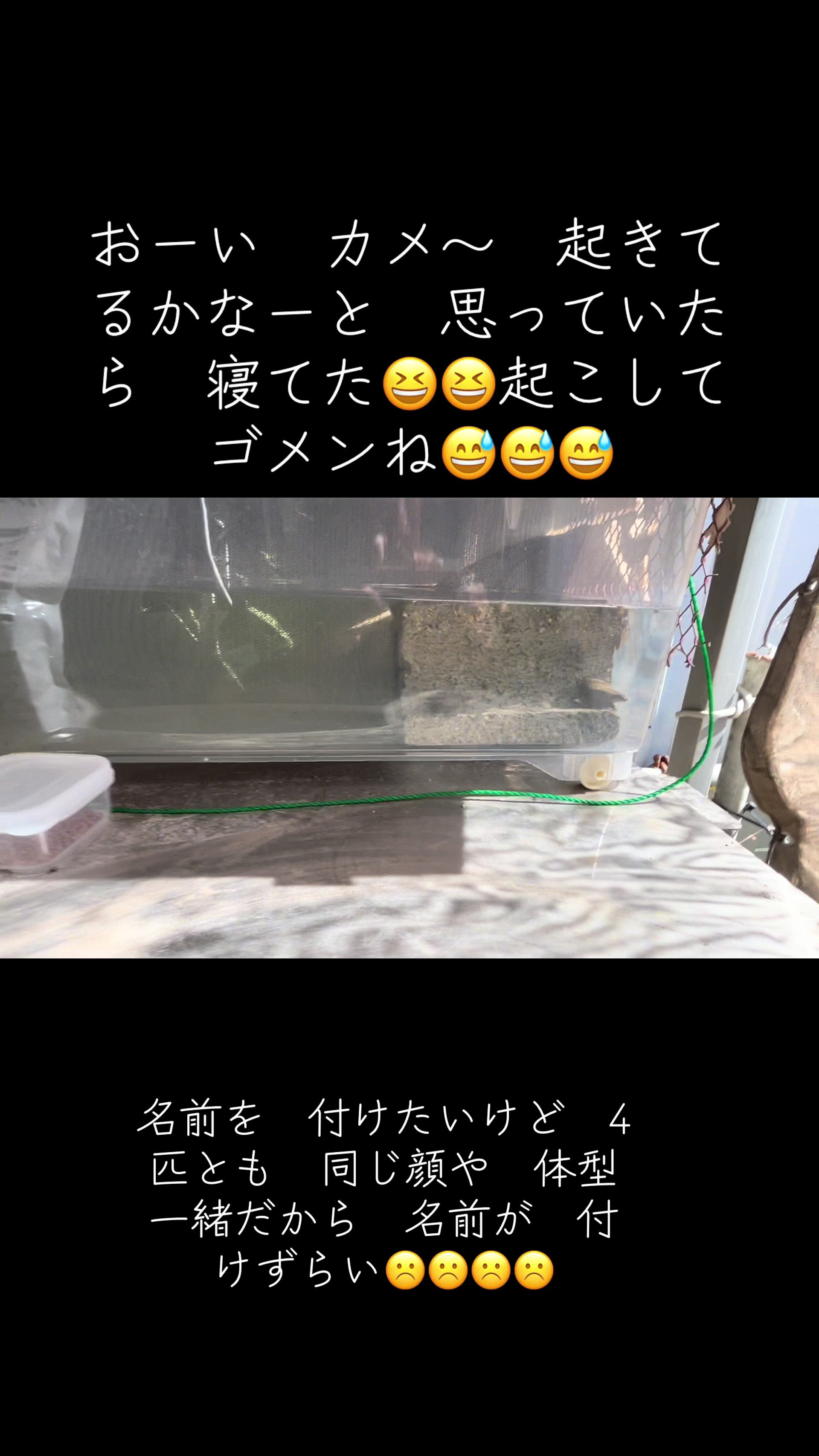 @かんちゃん