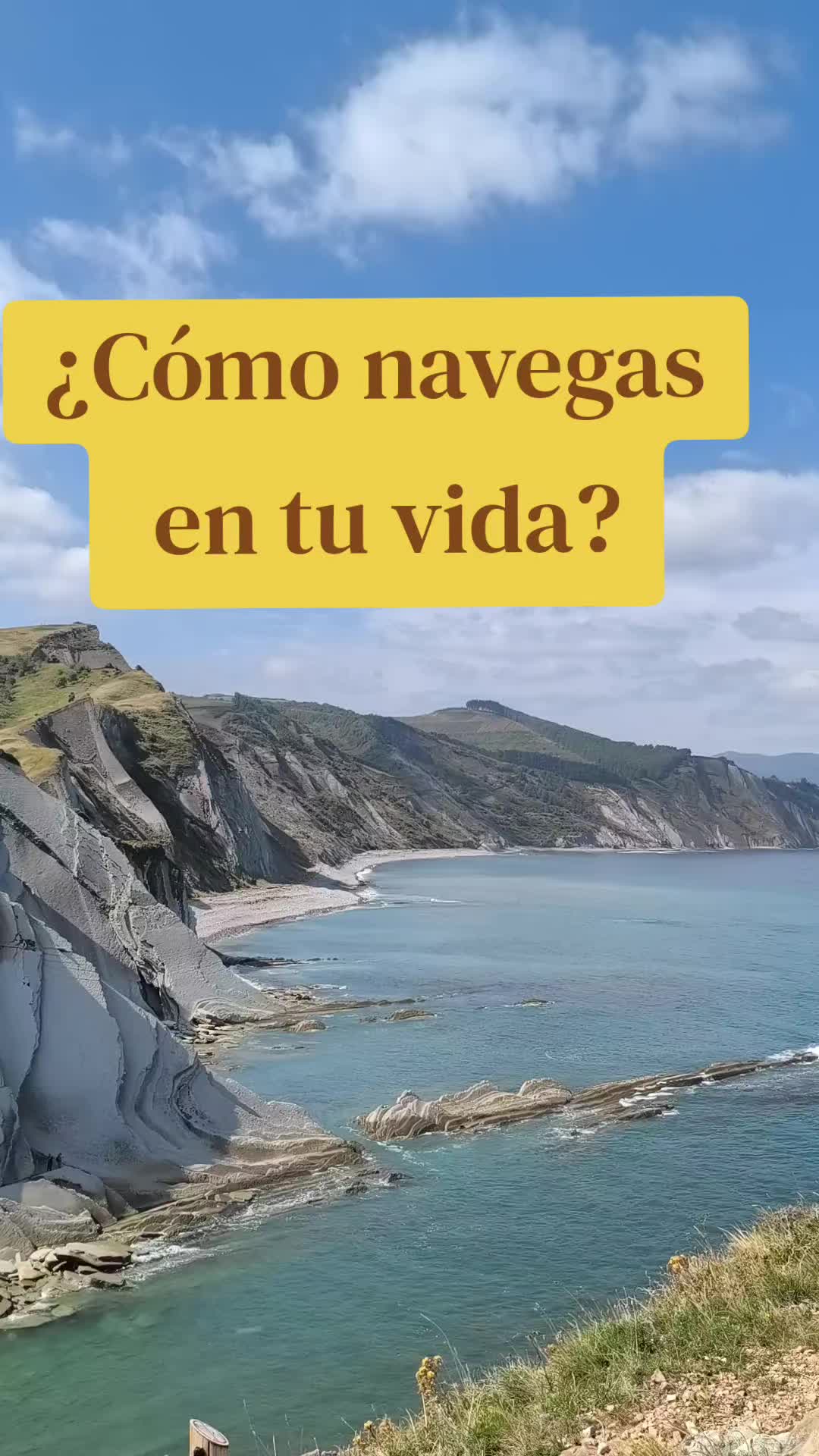 @Noe Coach