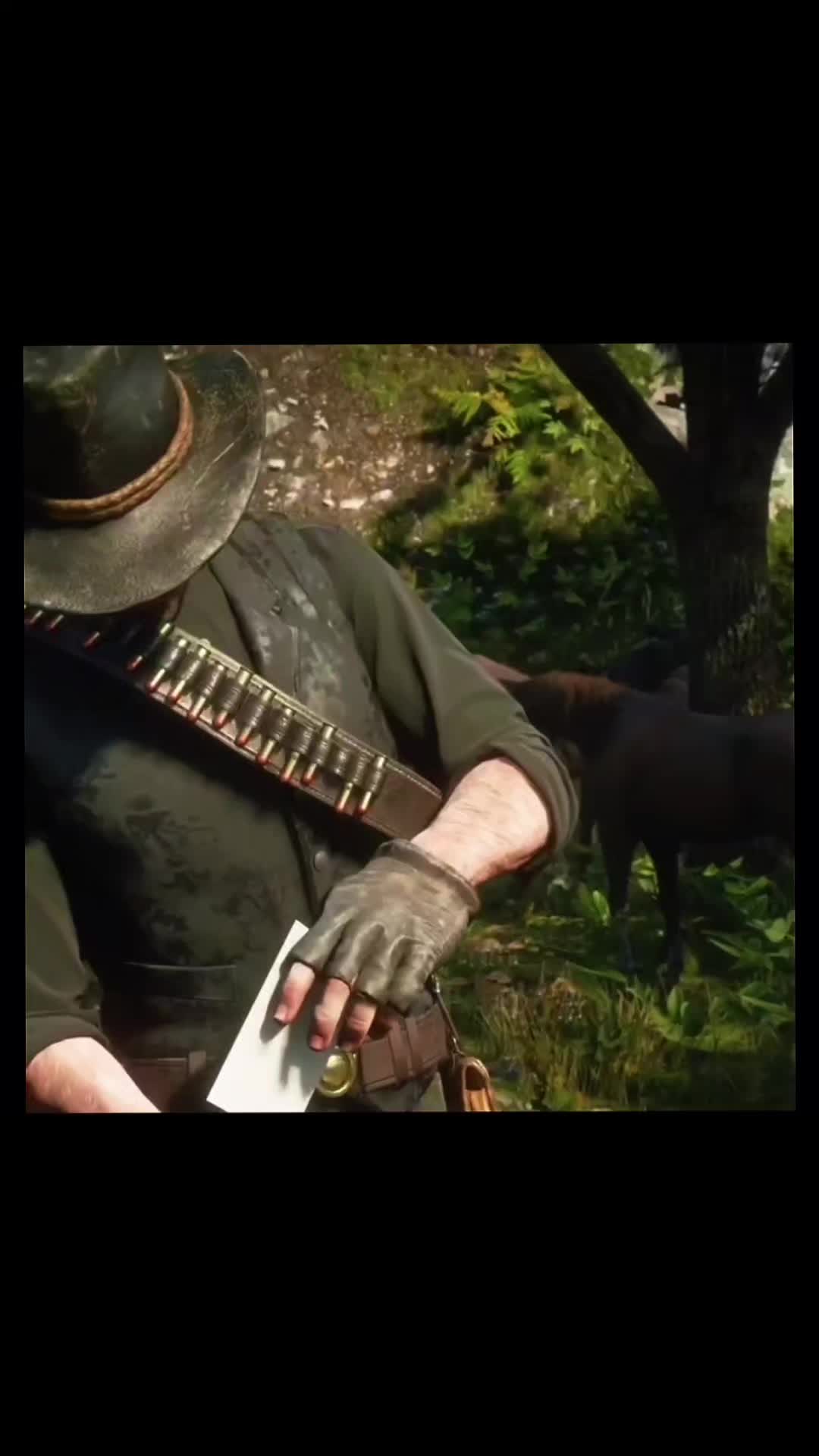 @MrPiggy100