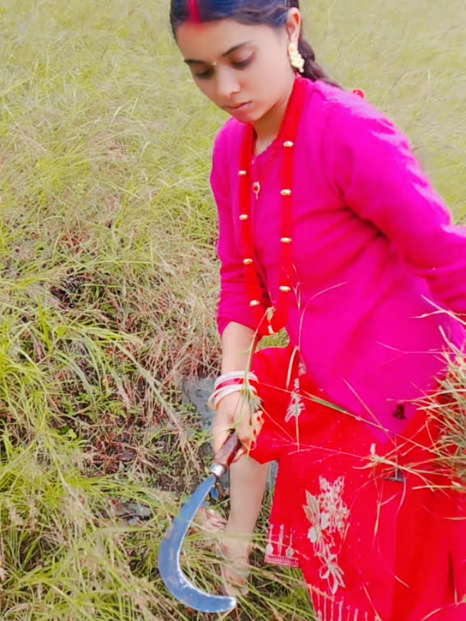 @Bashanti Bhatt