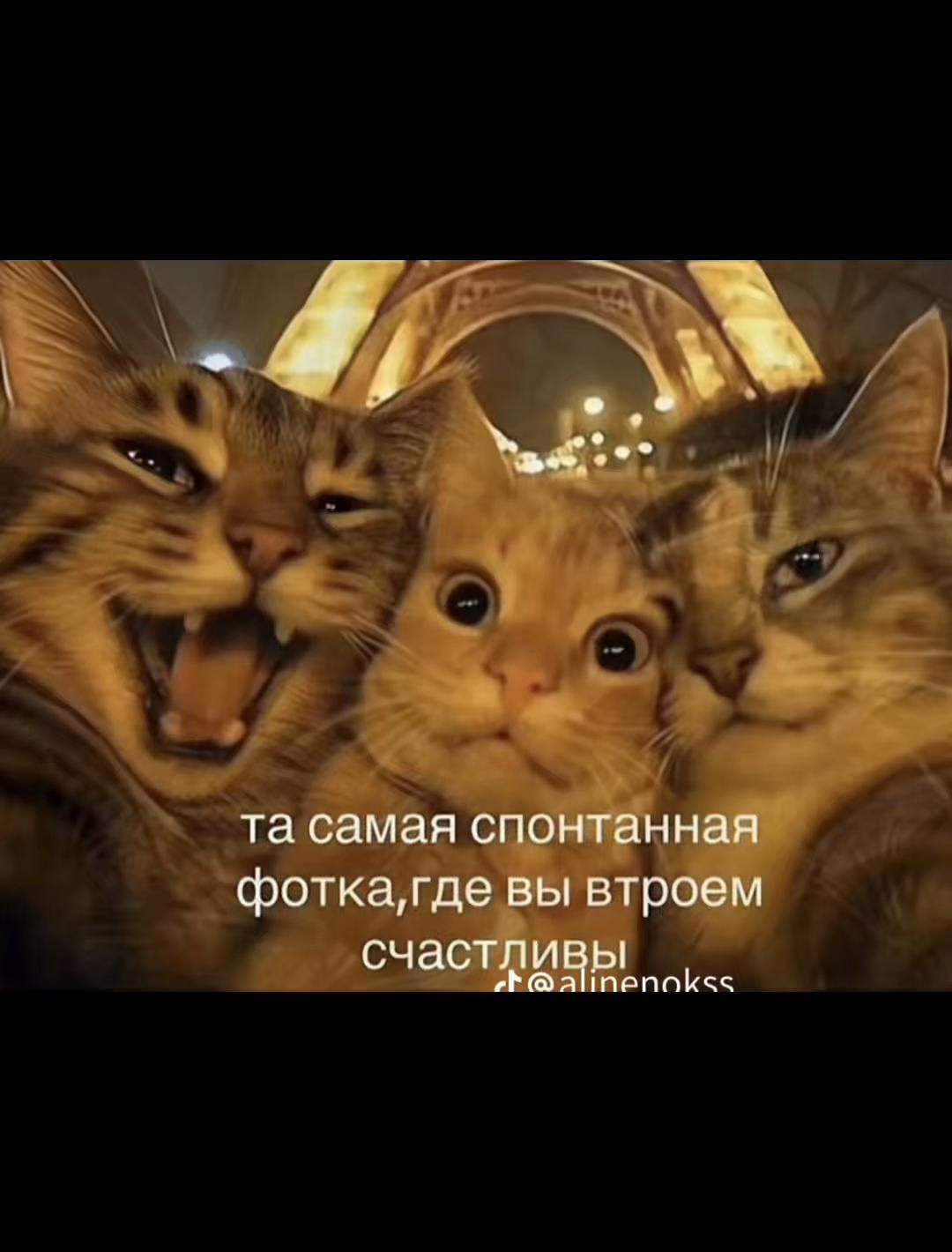 @тгк: неземная