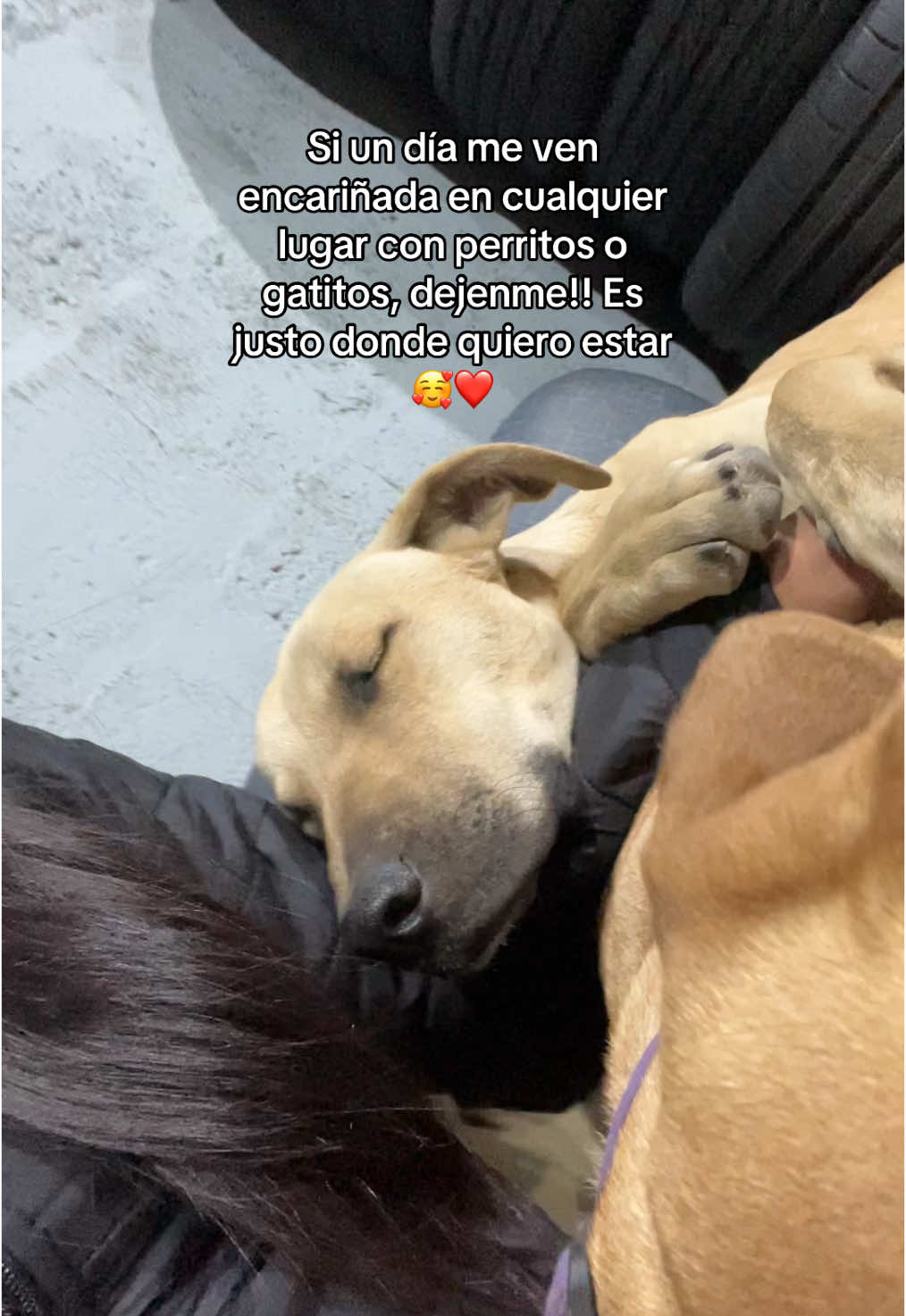 @estefy.eb