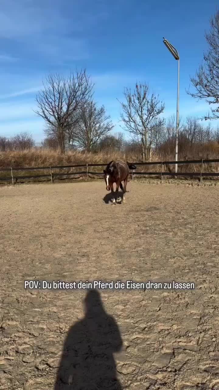 @ne.horses