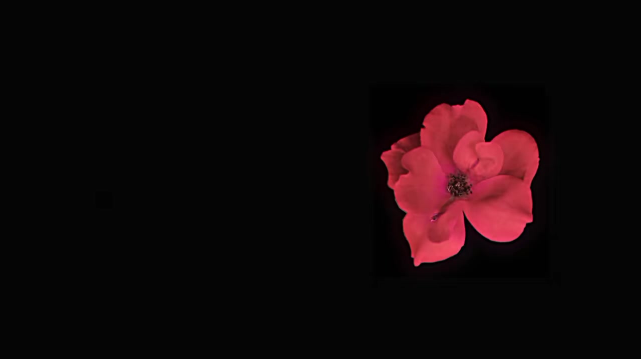 @𝘷𝘦𝘭𝘮𝘮𝘳𝘢𝘺𝘹