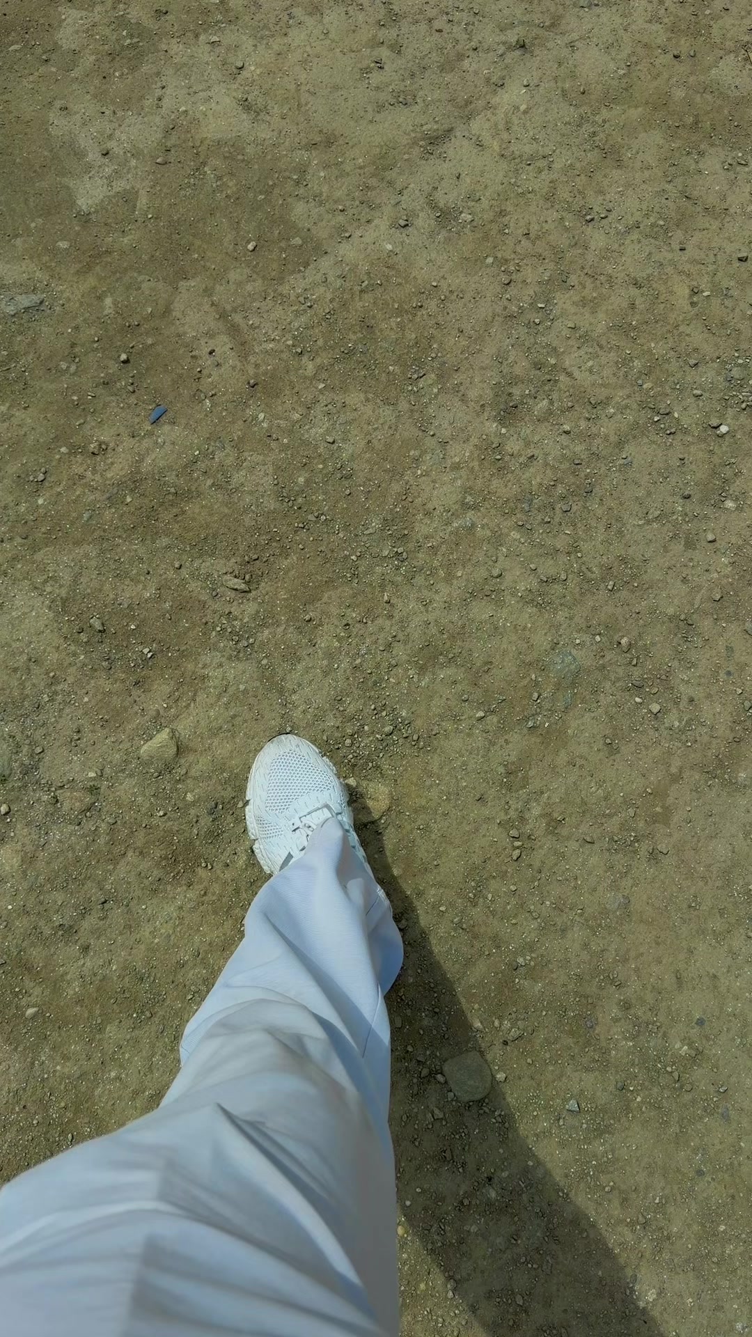 @sabybhatti722