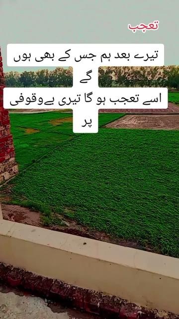 @Abid🌹Bhatti 💞