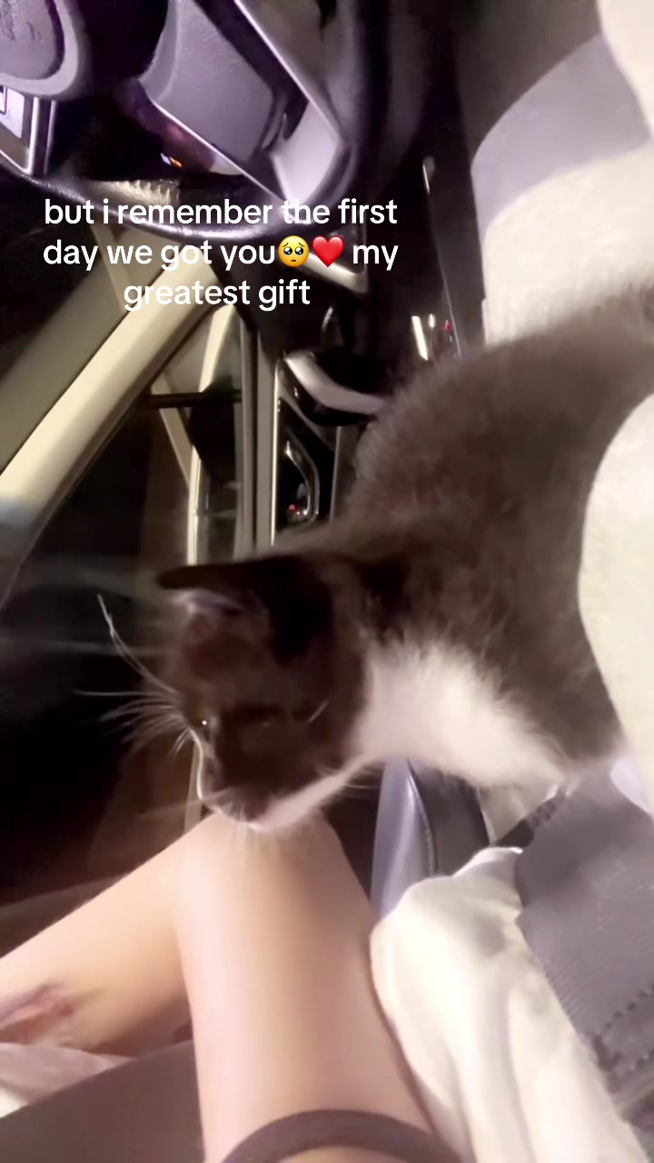 @ava💓