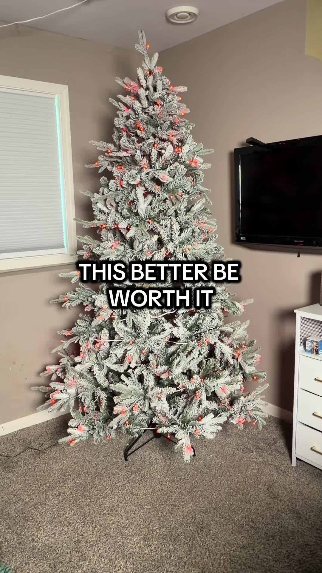 @mrdavelance