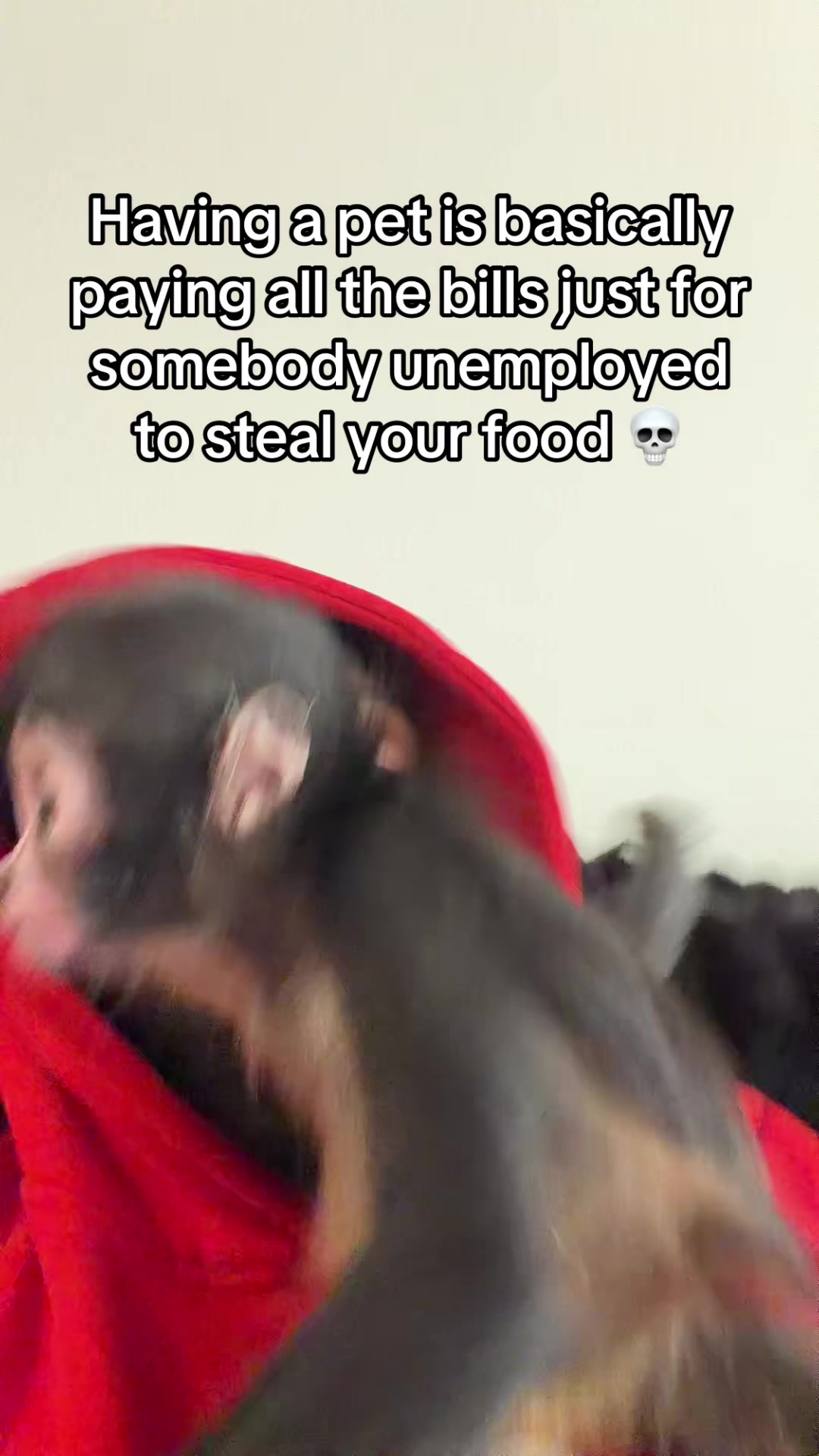 @OJTV & Mojo Jojo🧡