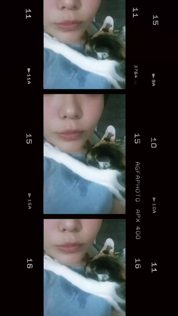@๐โจ๐ท๐๐๐๐๐๐ โจ๐