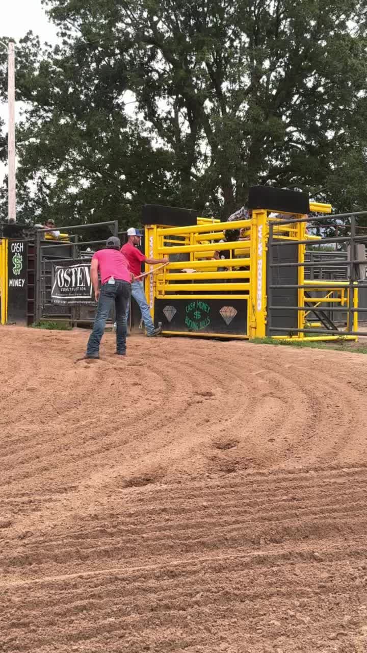@mamasboyroughstock