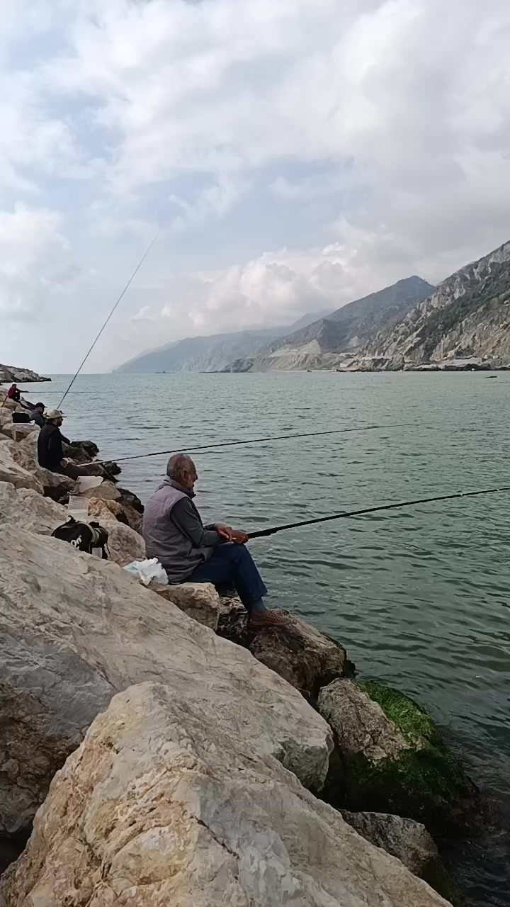 @Özçelik 31