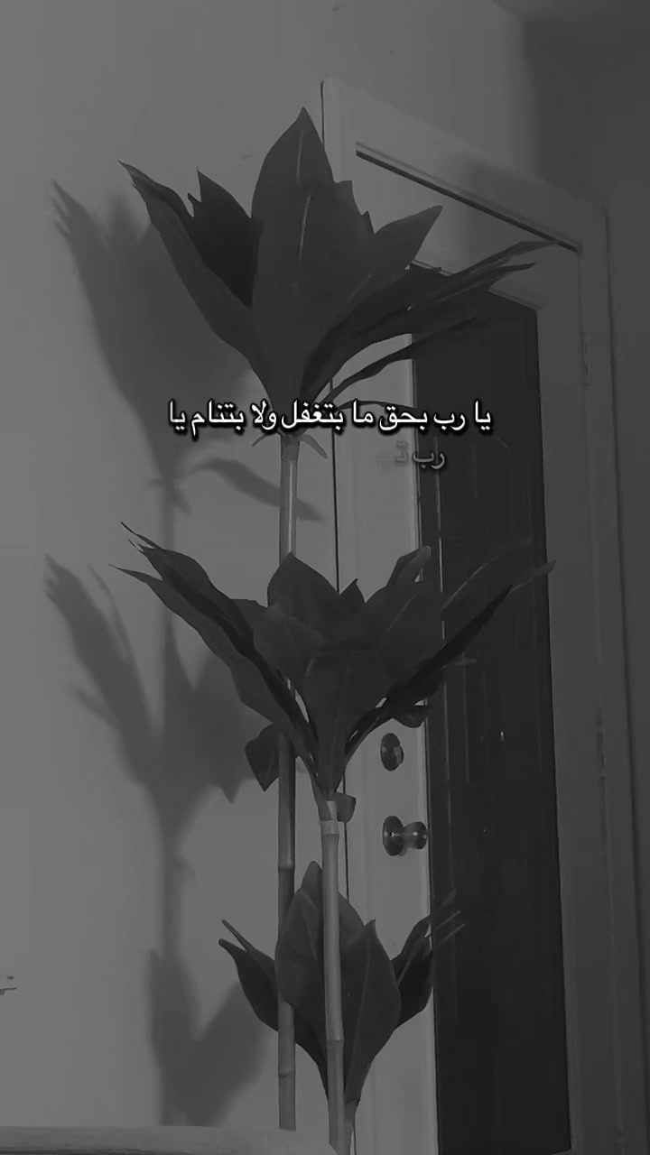 @Banoo✨🪻