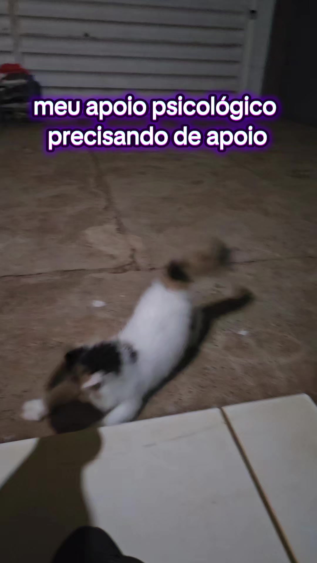 @brunnachiodi