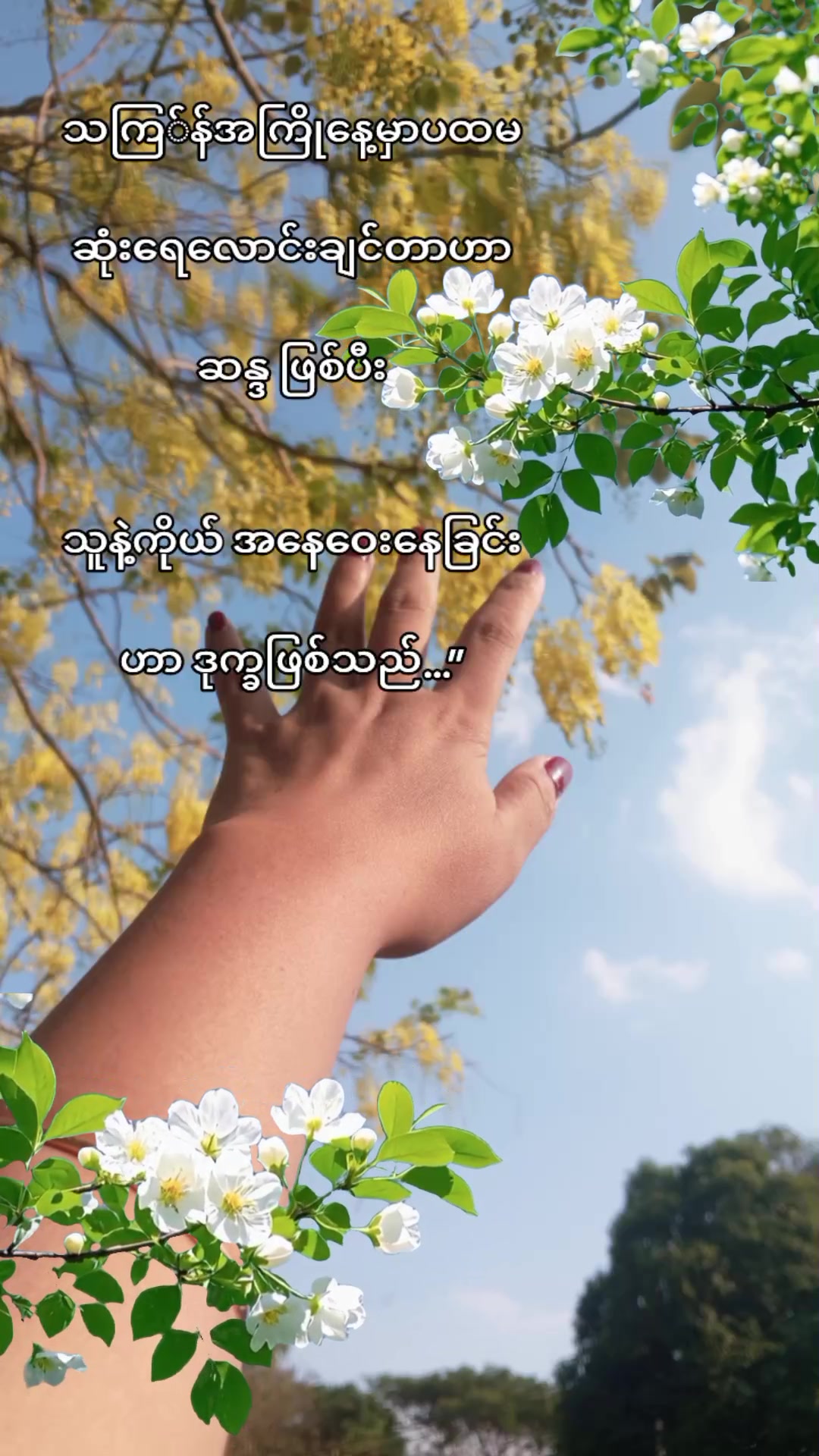 @Lan Meng