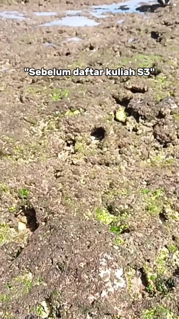 @Yayah Nurhayati_Official