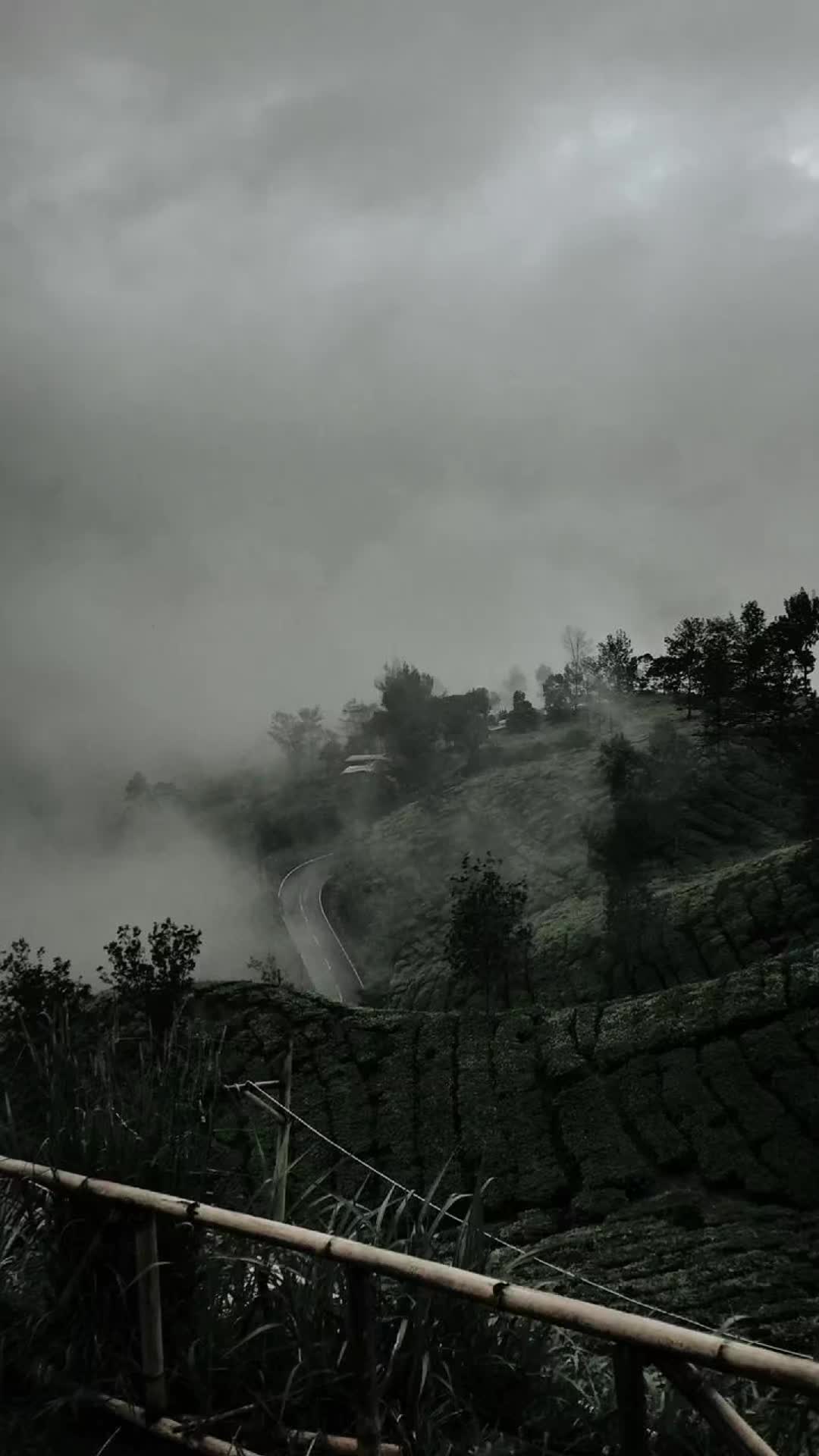 @inimusikku.id x Clip