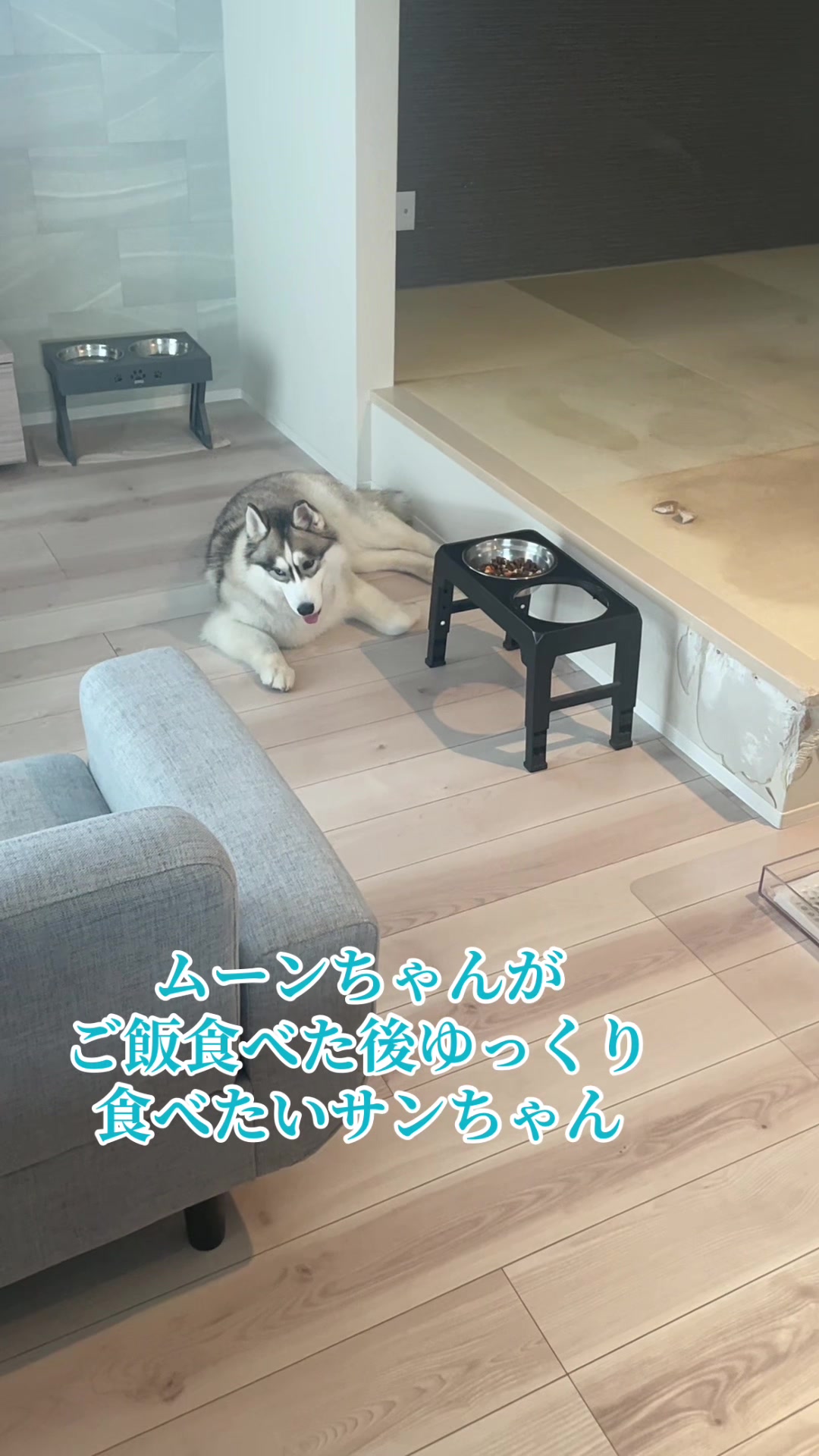 @サン☀️とムーン🌙