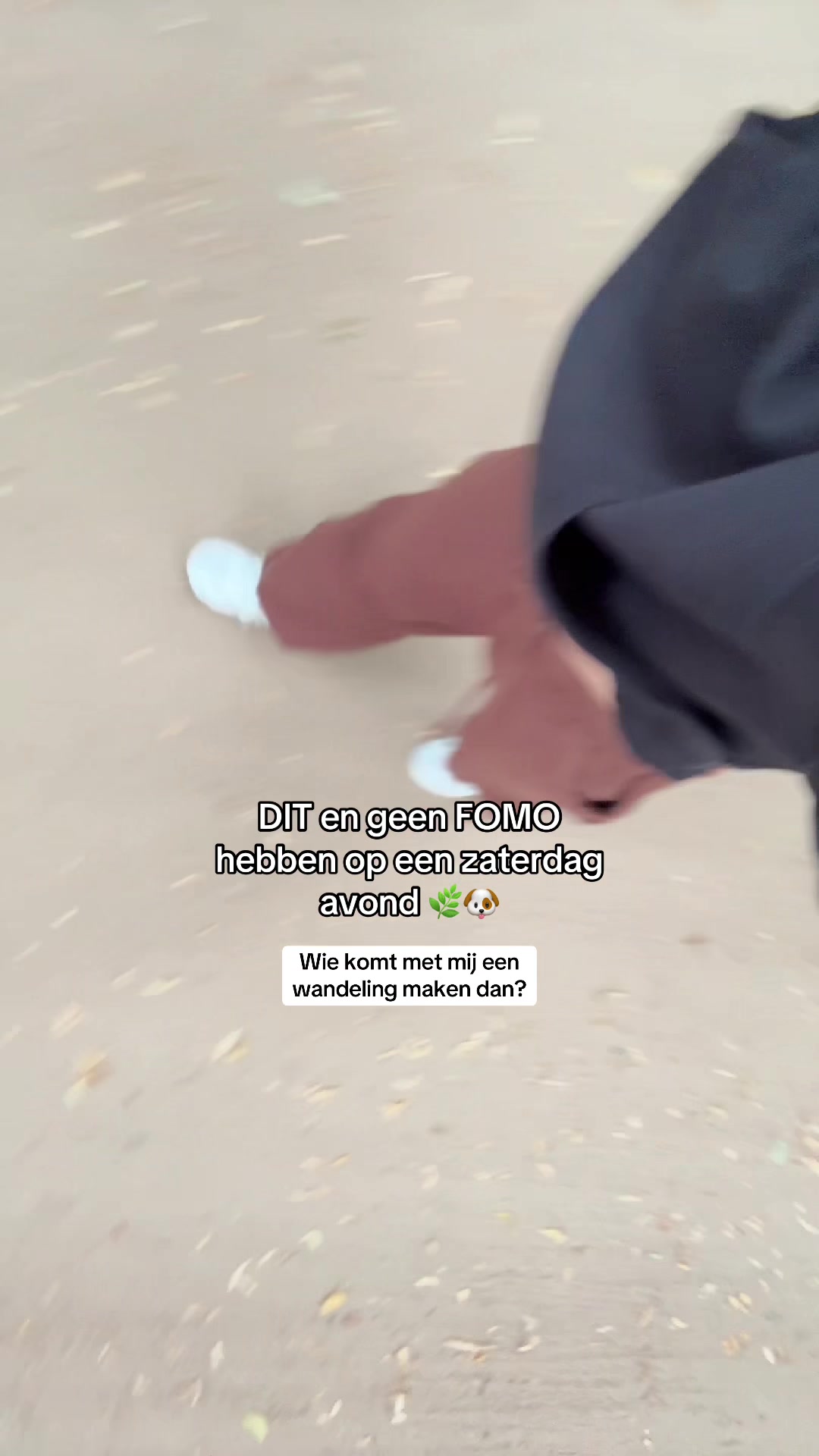 @Jente Koren