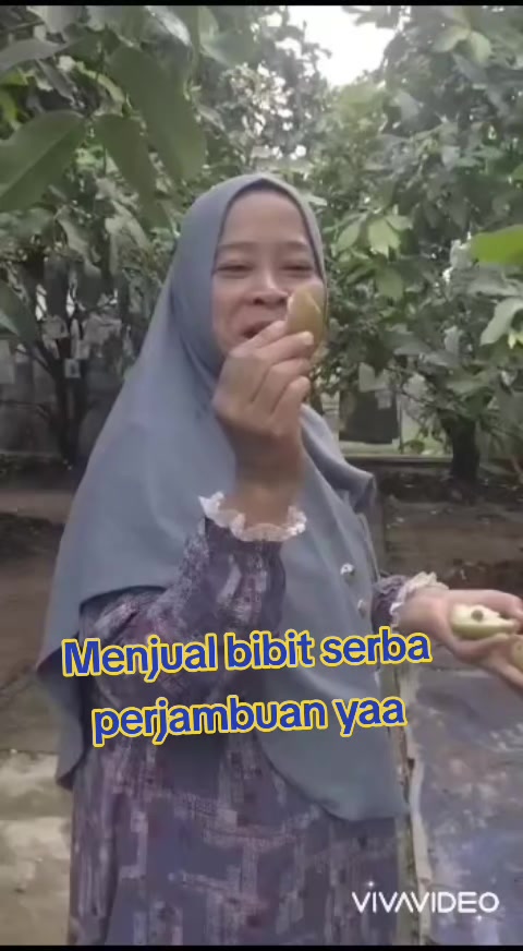@Bibit khusus samarinda