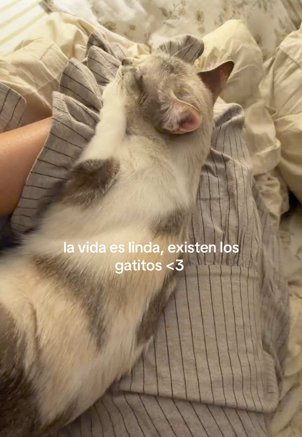 @Elisa Salinas