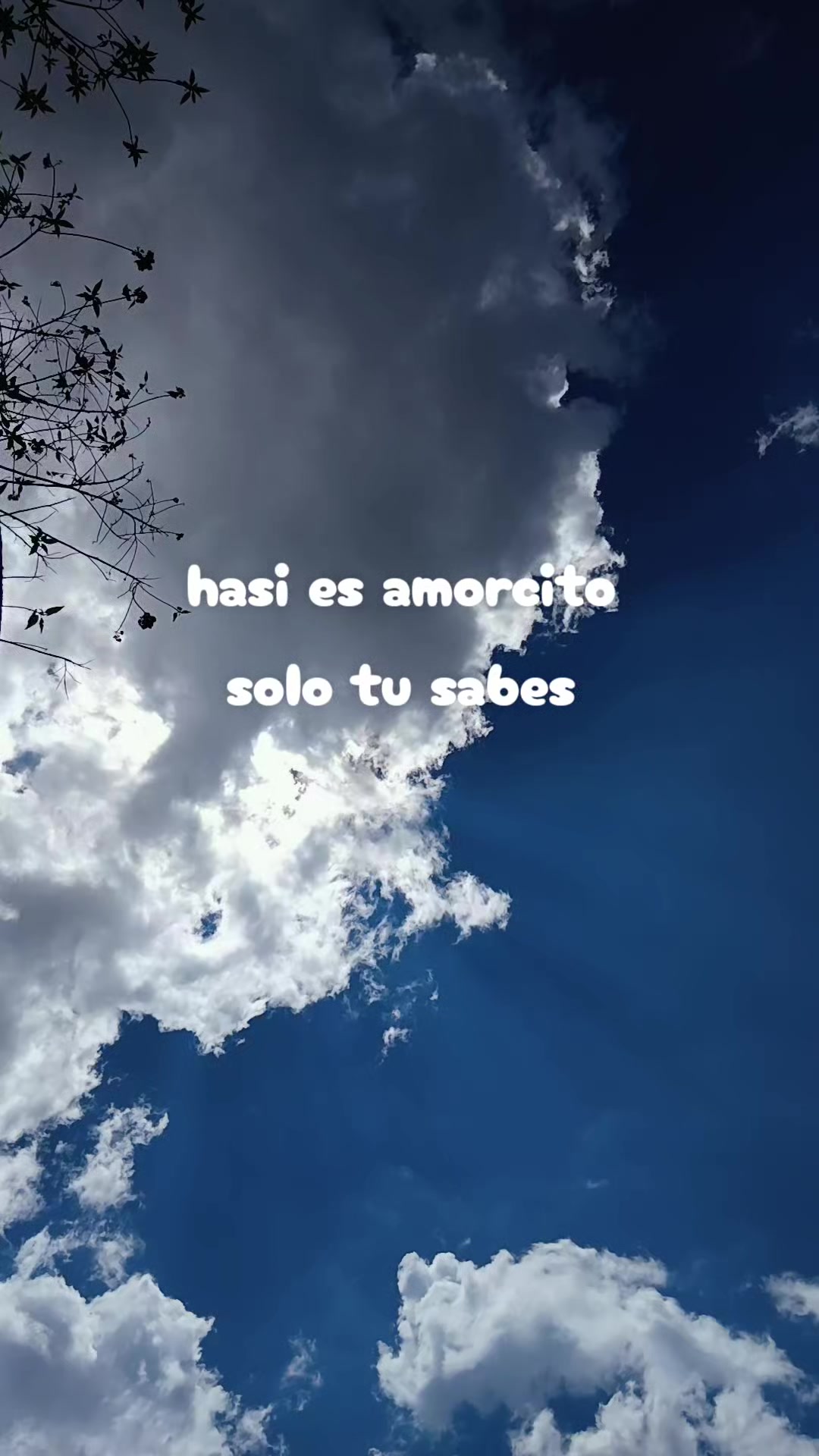 @com.@jc.caiza 4