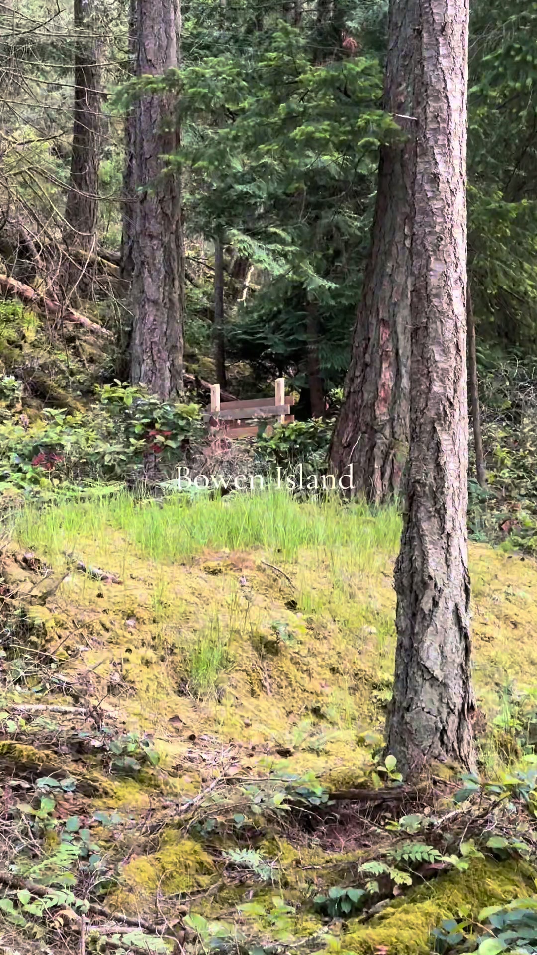 @Experience hiking in Canada