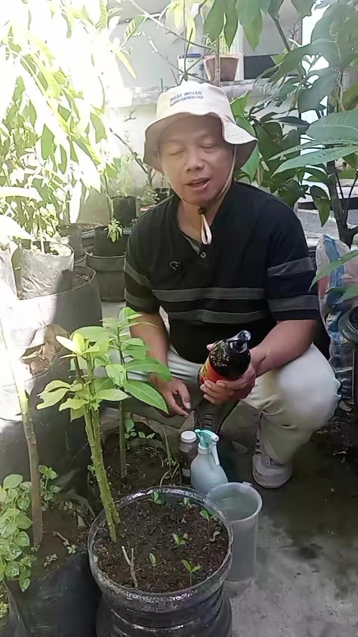 @Berkebun Berkah