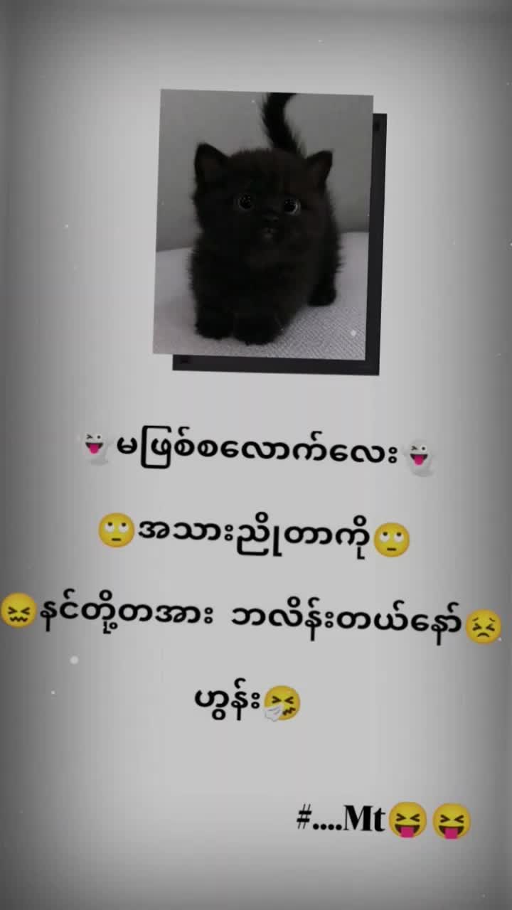@MgAungGyi💥🇲🇲🎀