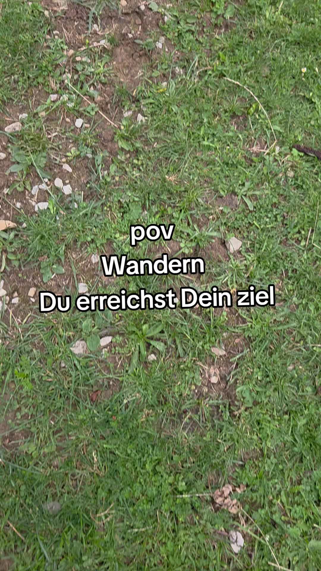 @sabi