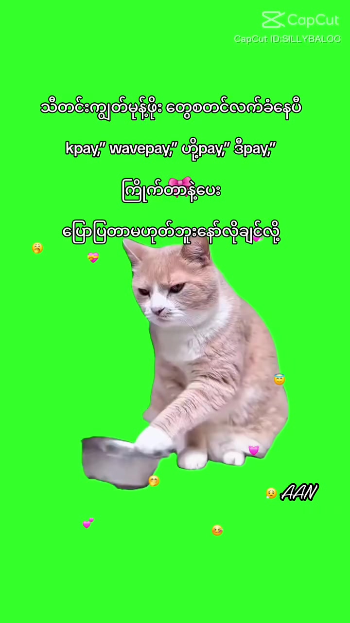 @đ¸đ¸đŹSakurađ˛đ˛đ¸