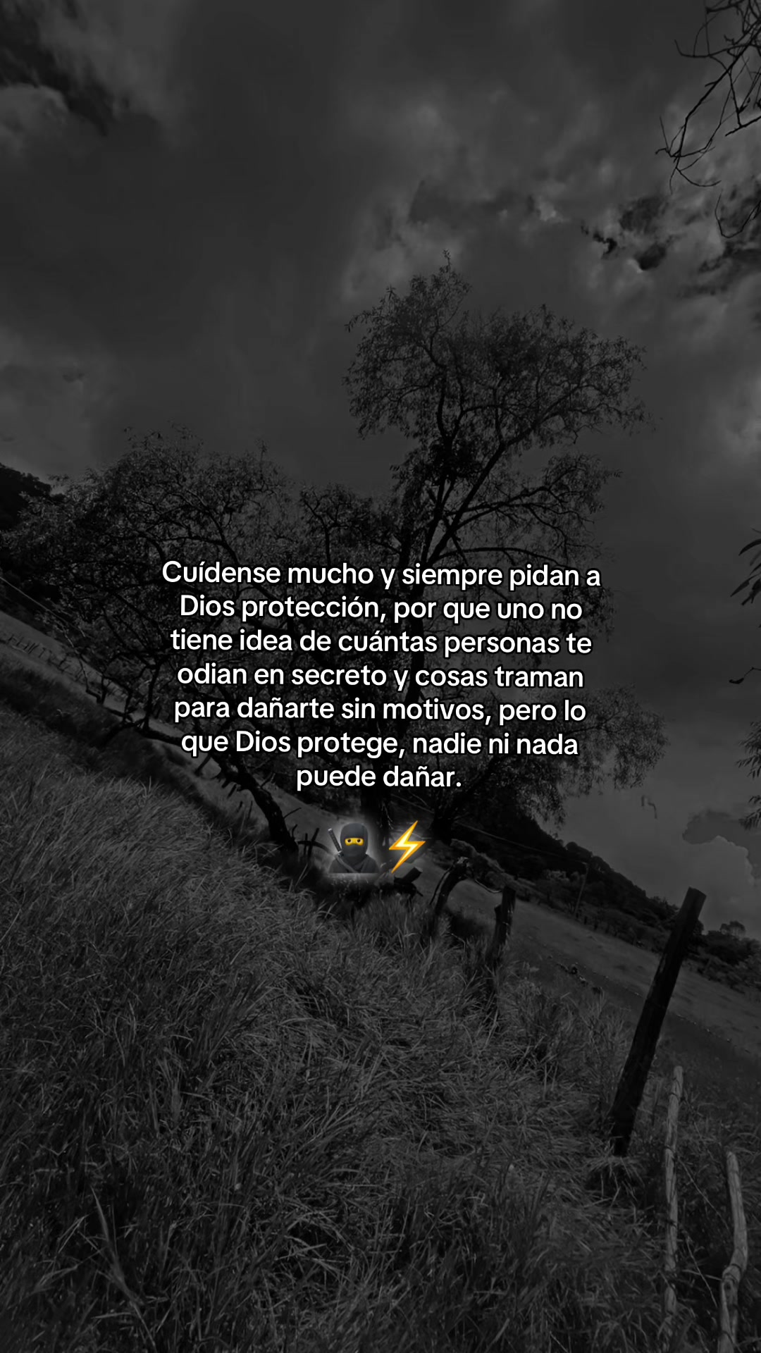 @Lupita Herrera Pulid