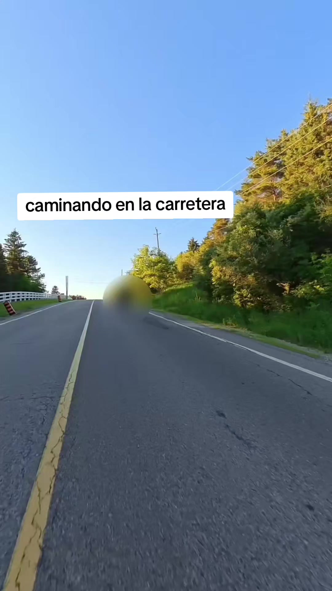 @bandido motero